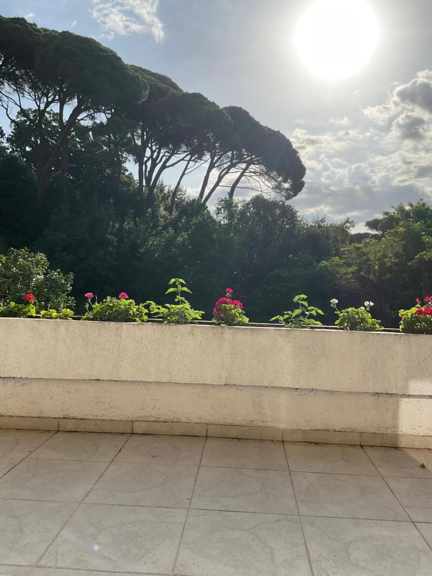 Villa Monte Boutique Apartments In Herceg Novi Kültér fotó
