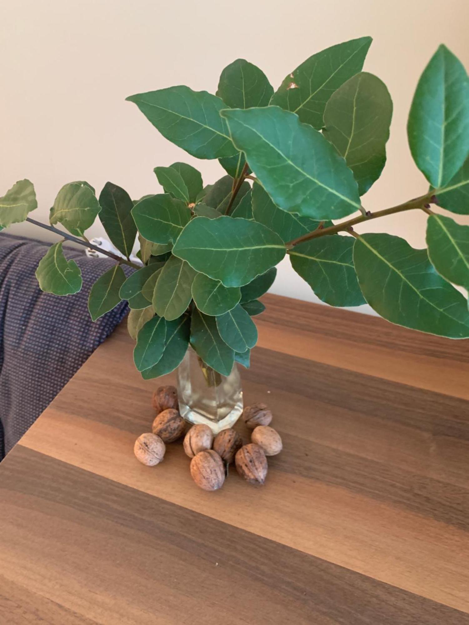 Villa Monte Boutique Apartments In Herceg Novi Kültér fotó