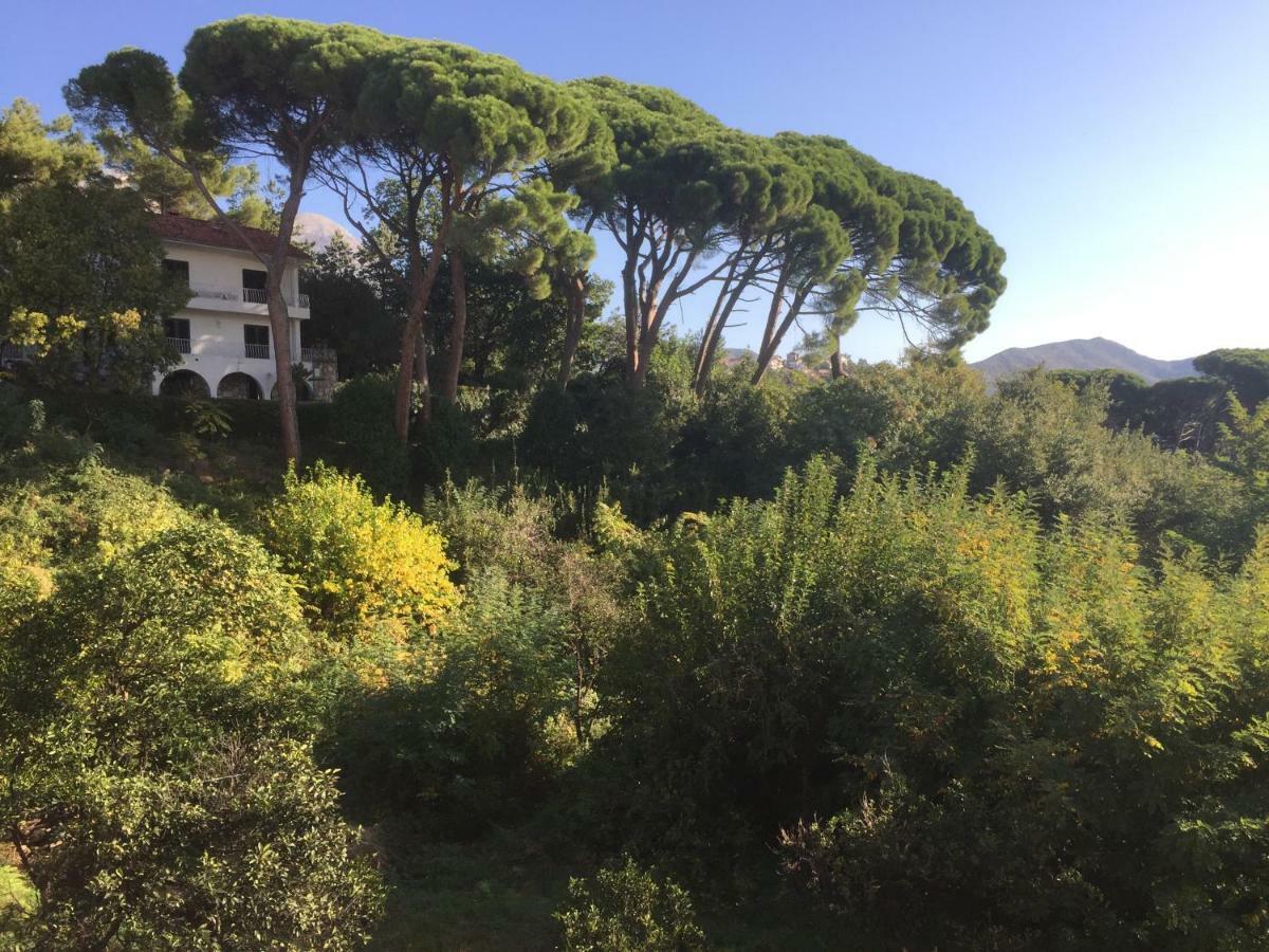 Villa Monte Boutique Apartments In Herceg Novi Kültér fotó